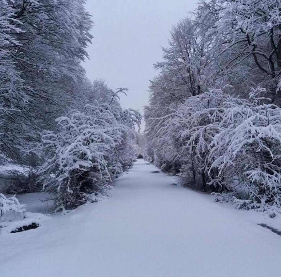 Andamur San Román Bagian luar foto